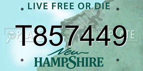 T857449 New Hampshire License Plate