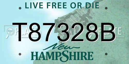T87328B New Hampshire License Plate