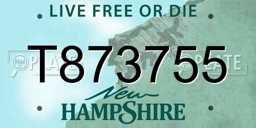 T873755 New Hampshire License Plate