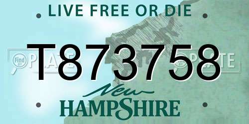 T873758 New Hampshire License Plate