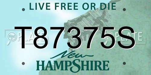 T87375S New Hampshire License Plate