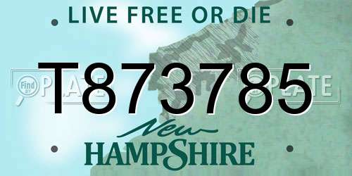 T873785 New Hampshire License Plate