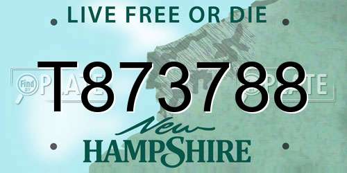 T873788 New Hampshire License Plate
