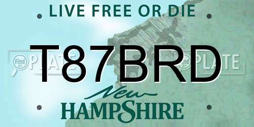 T87BRD New Hampshire License Plate
