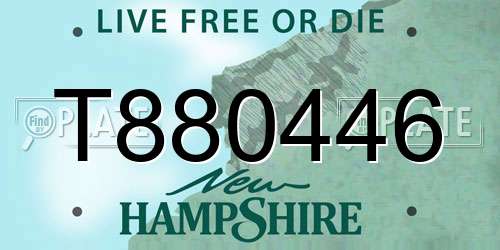 T880446 New Hampshire License Plate