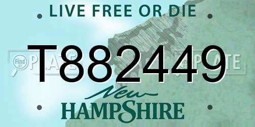 T882449 New Hampshire License Plate