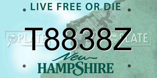 T8838Z New Hampshire License Plate