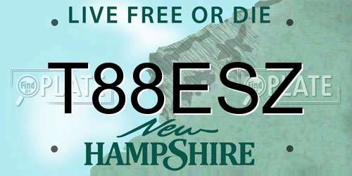 T88ESZ New Hampshire License Plate