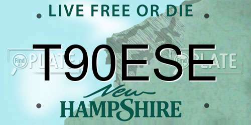 T90ESE New Hampshire License Plate