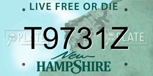 T9731Z New Hampshire License Plate