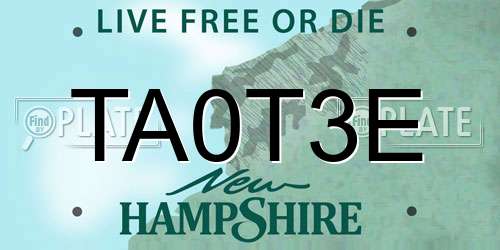 TA0T3E New Hampshire License Plate