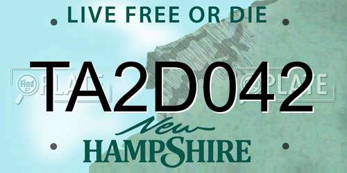 TA2D042 New Hampshire License Plate