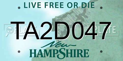 TA2D047 New Hampshire License Plate
