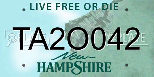 TA2O042 New Hampshire License Plate