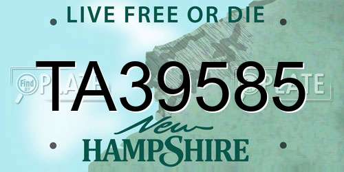 TA39585 New Hampshire License Plate