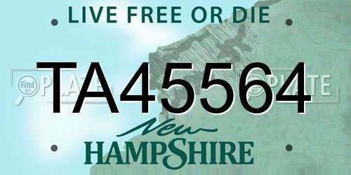 TA45564 New Hampshire License Plate