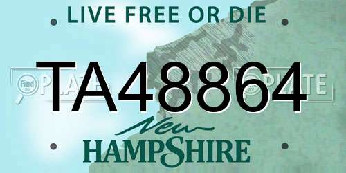 TA48864 New Hampshire License Plate