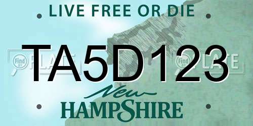 TA5D123 New Hampshire License Plate