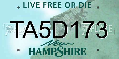 TA5D173 New Hampshire License Plate