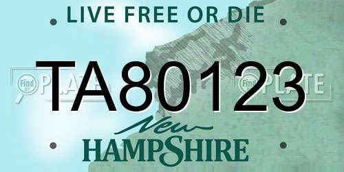 TA80123 New Hampshire License Plate