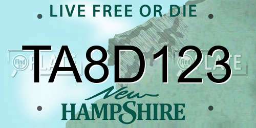 TA8D123 New Hampshire License Plate
