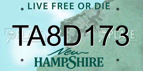 TA8D173 New Hampshire License Plate