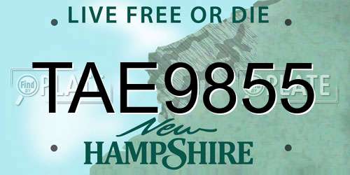 TAE9855 New Hampshire License Plate
