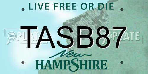 TASB87 New Hampshire License Plate