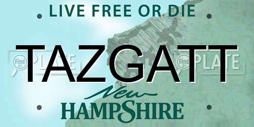 TAZGATT New Hampshire License Plate