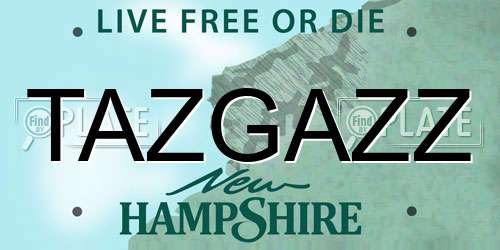 TAZGAZZ New Hampshire License Plate