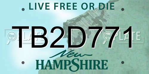 TB2D771 New Hampshire License Plate
