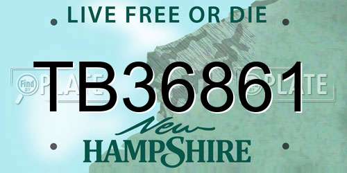 TB36861 New Hampshire License Plate