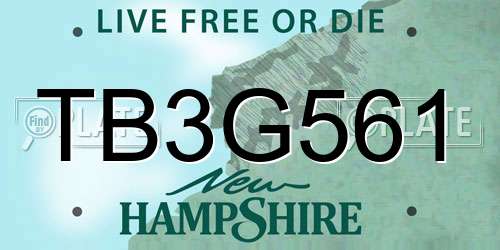 TB3G561 New Hampshire License Plate