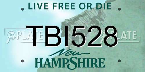 TBI528 New Hampshire License Plate