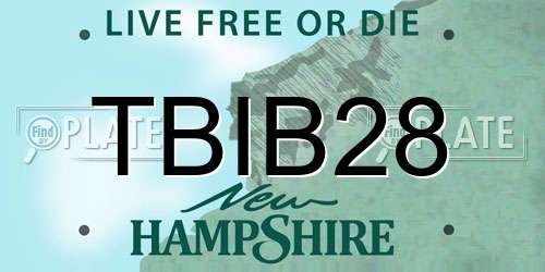 TBIB28 New Hampshire License Plate