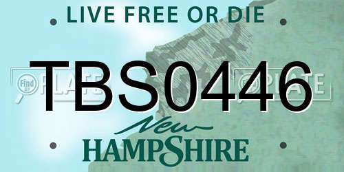TBS0446 New Hampshire License Plate