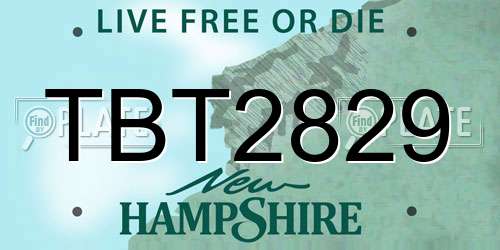 TBT2829 New Hampshire License Plate