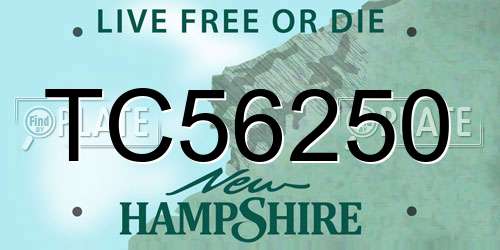 TC56250 New Hampshire License Plate