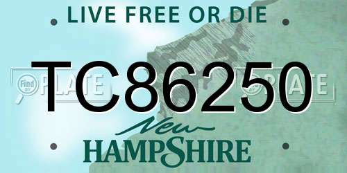 TC86250 New Hampshire License Plate