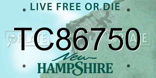 TC86750 New Hampshire License Plate