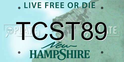 TCST89 New Hampshire License Plate