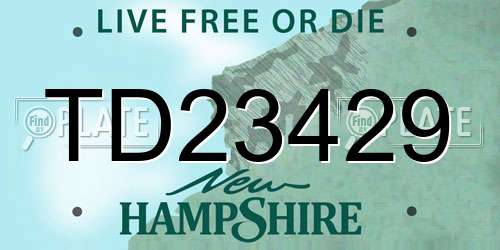 TD23429 New Hampshire License Plate