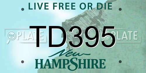 TD395 New Hampshire License Plate