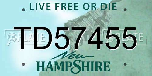 TD57455 New Hampshire License Plate