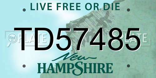 TD57485 New Hampshire License Plate