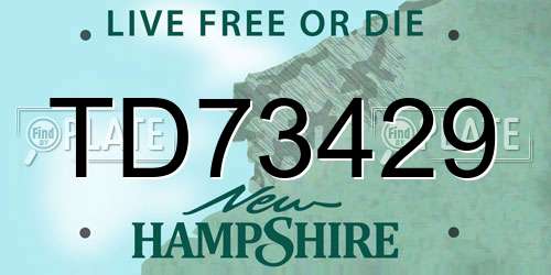 TD73429 New Hampshire License Plate
