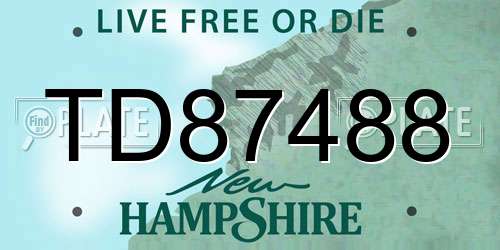 TD87488 New Hampshire License Plate