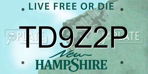 TD9Z2P New Hampshire License Plate