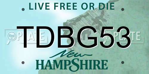 TDBG53 New Hampshire License Plate