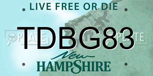 TDBG83 New Hampshire License Plate